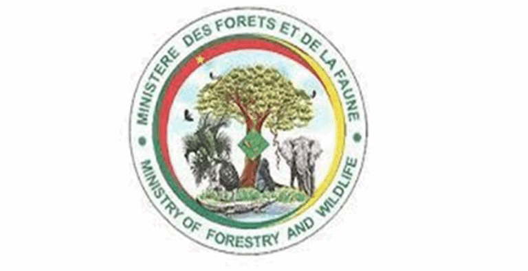 MINISTRY OF FORESTRY 2