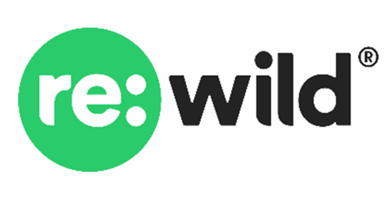 REWILD 2